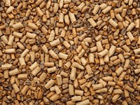 ¿Cómo elegir la caldera de biomasa ideal para tu vivienda o negocio?