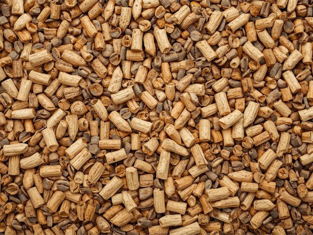 ¿Cómo elegir la caldera de biomasa ideal para tu vivienda o negocio?